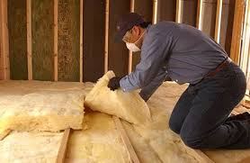 Best Wall Insulation Installation in Schleswig, IA